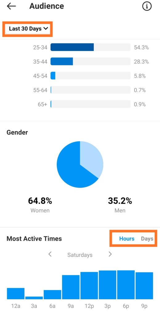 Instagram Insights audience demographics