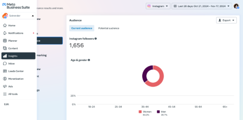 audience insights in Meta Business Suite