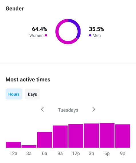 Instagram audience demographics