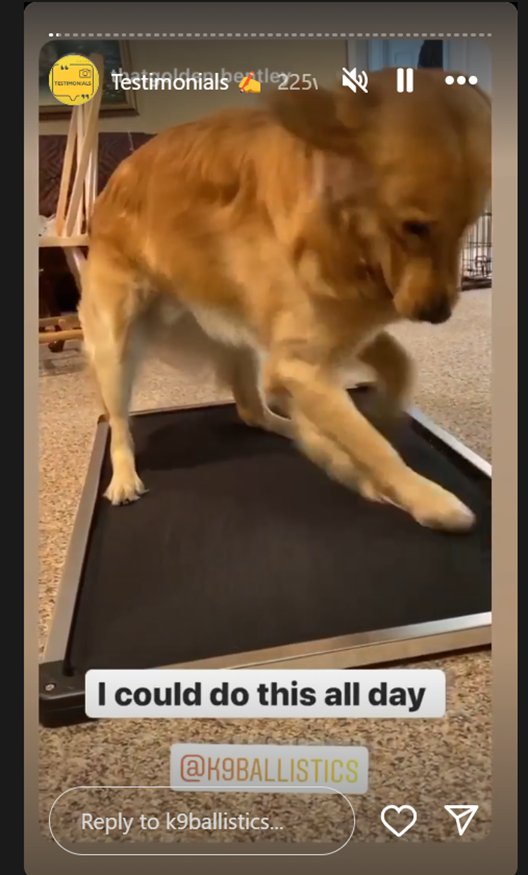 K9 Ballistics customer testimonial Instagram story